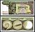Камбоджа 100 риэлей ND (1957-1975) Авалокитешвара Pick 8 c(2) бумага UNC (пресс) 7202-40-3