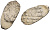 Русское Царство копейка 1645-1676 Алексей Михайлович серебро 262-1664